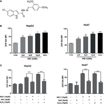 Indole Hydrazide Compound IHZ-1 Induces Apoptosis and Autophagy via Activation of ROS/JNK Pathway in Hepatocellular Carcinoma